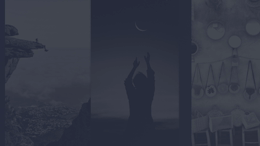 viddyoze_26946