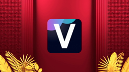 viddyoze_27024