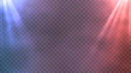 viddyoze_27132