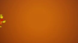 viddyoze_27249