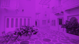 viddyoze_27253