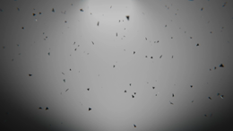 viddyoze_27270