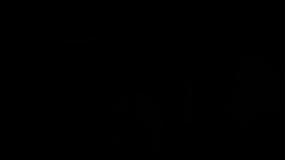 viddyoze_27273