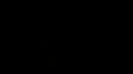 viddyoze_27274