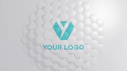 viddyoze_27276