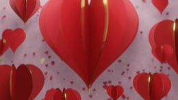 viddyoze_27281