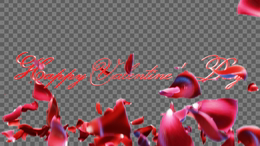 viddyoze_27357