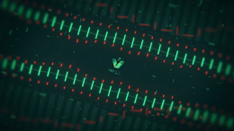 viddyoze_27386