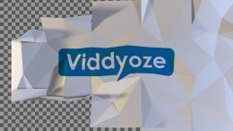 viddyoze_27711