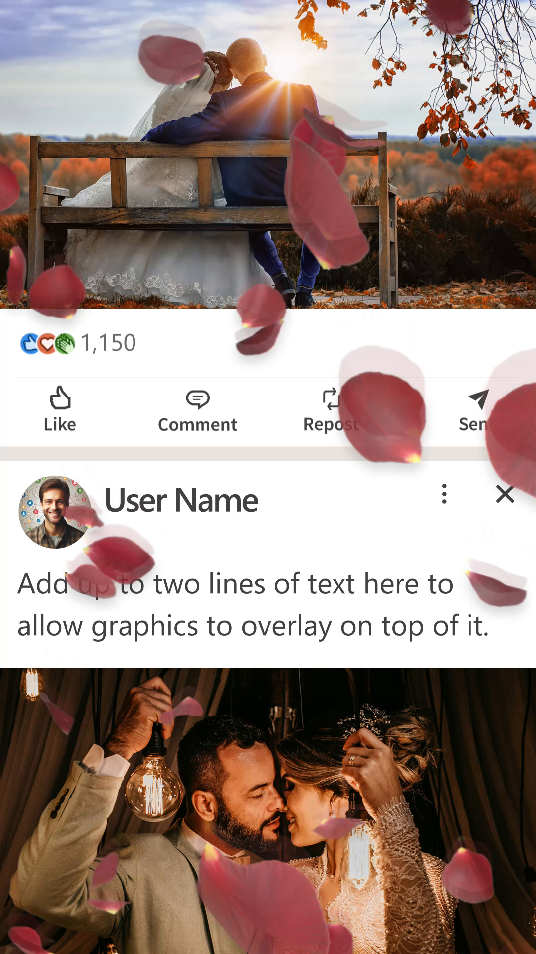 viddyoze_28260