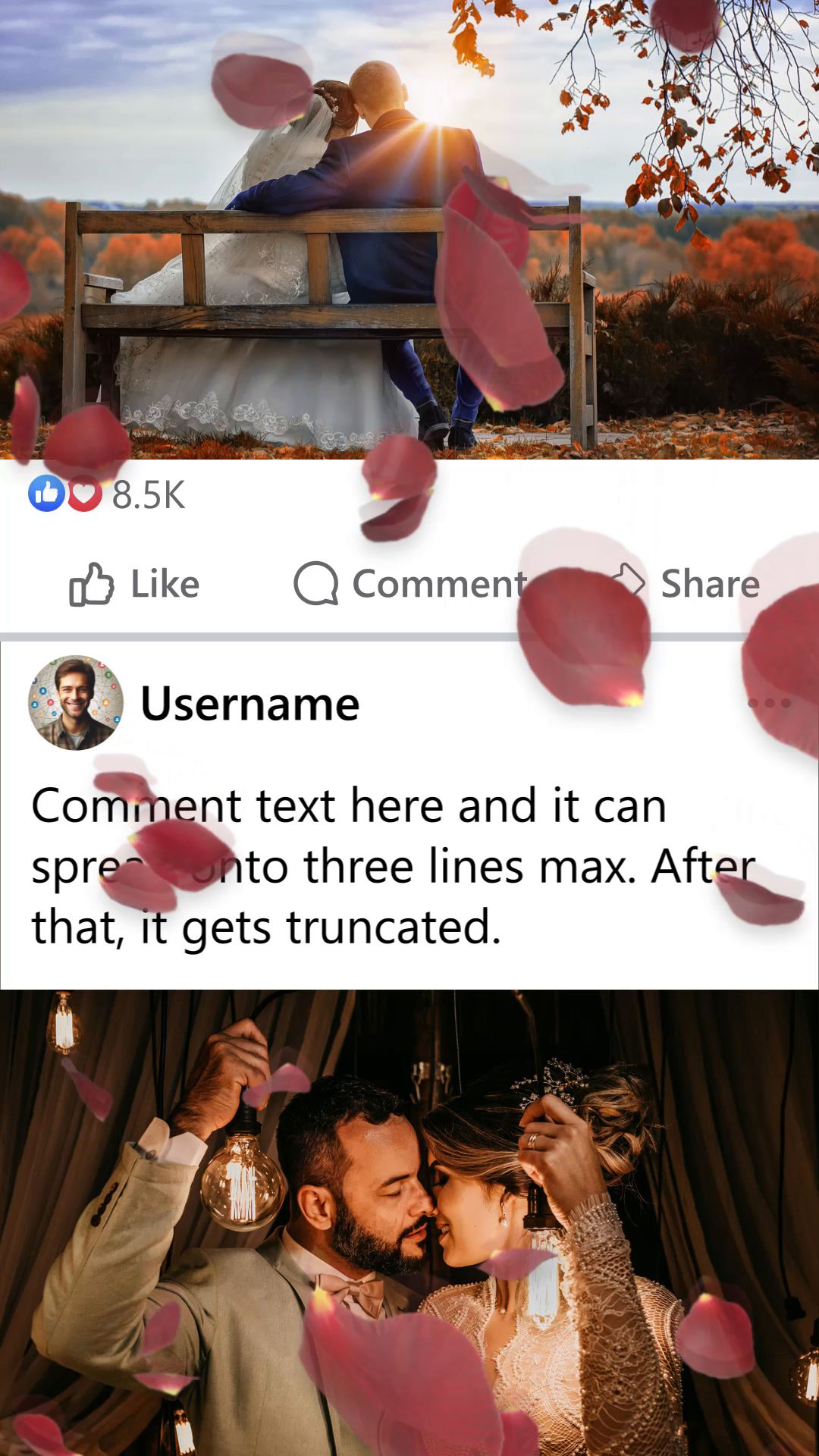 viddyoze_28261