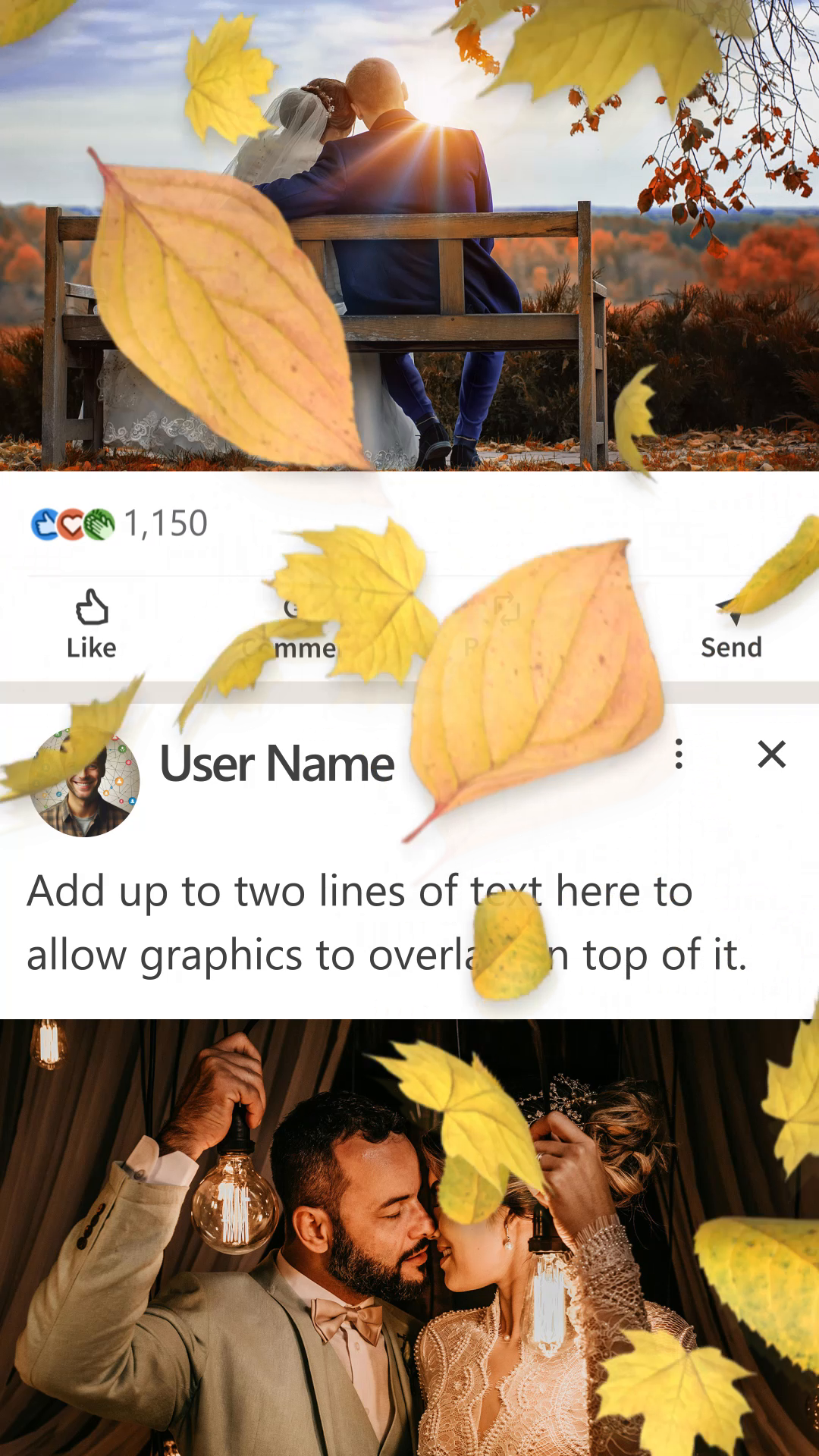 viddyoze_28272