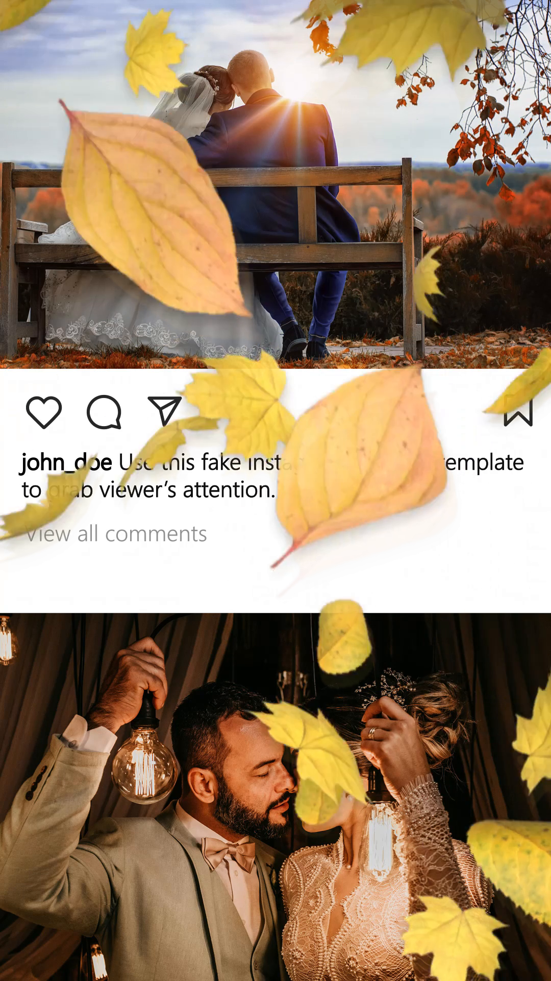 viddyoze_28280