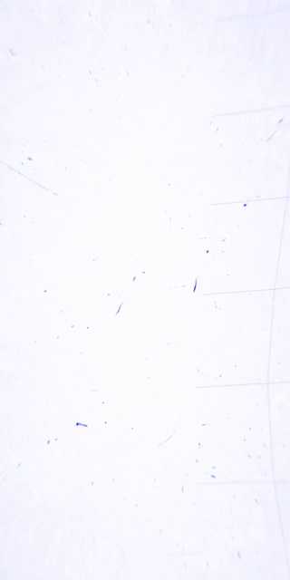 viddyoze_28364
