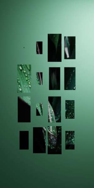 viddyoze_28534