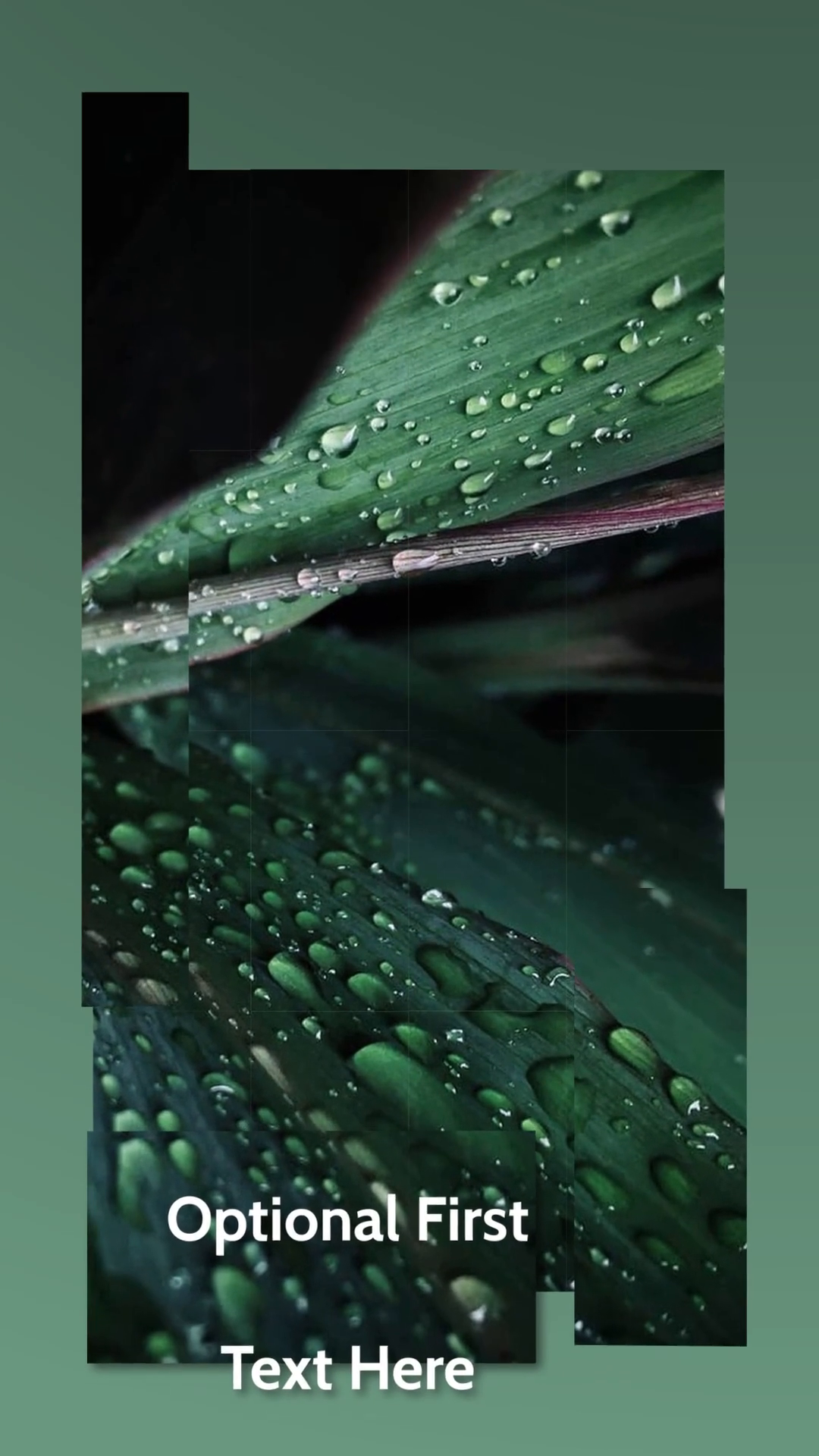 viddyoze_28574