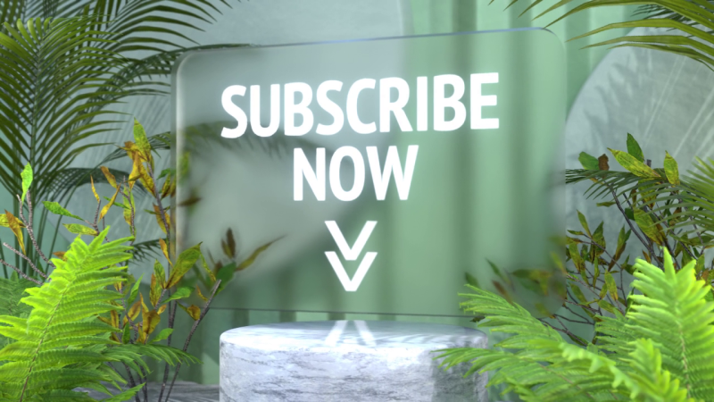viddyoze_28746