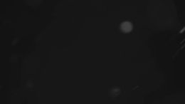 viddyoze_29051