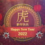 viddyoze_29093