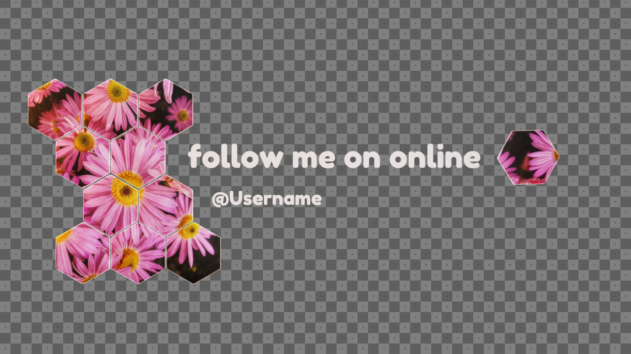 viddyoze_29196