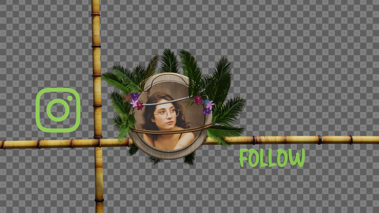 viddyoze_29250