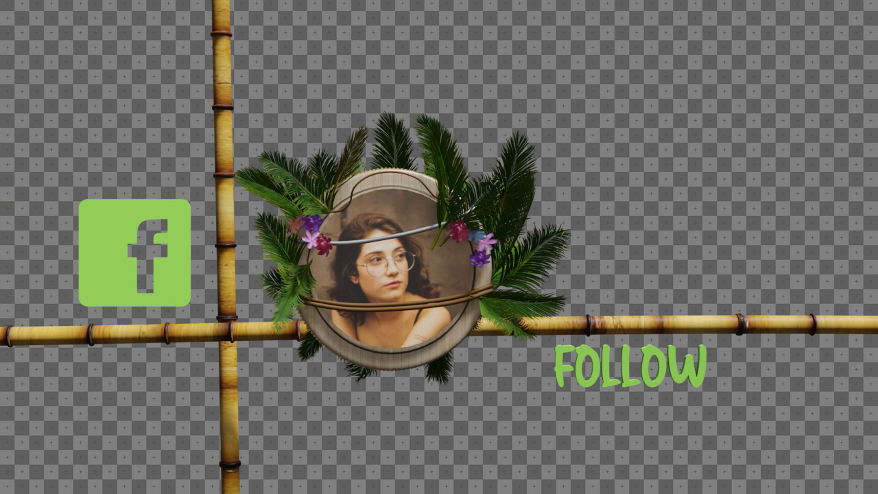 viddyoze_29252