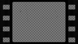 viddyoze_29537