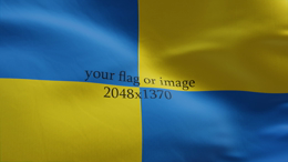viddyoze_29616