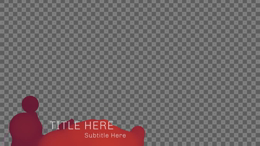 viddyoze_29819