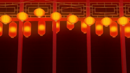 viddyoze_29902