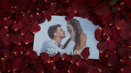 viddyoze_29959