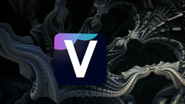 viddyoze_30038