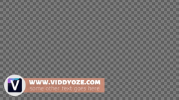 viddyoze_30060